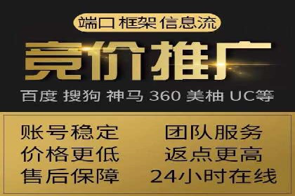 网络推广与竞价广告：双管齐下的策略案例